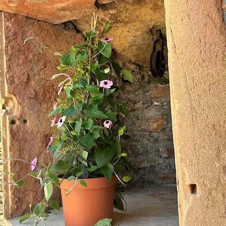 Les Murgers Au Coeur Des Vignes Prissé Exterior foto