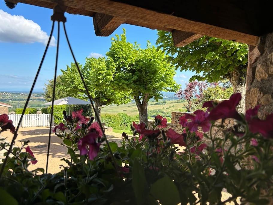 Les Murgers Au Coeur Des Vignes *