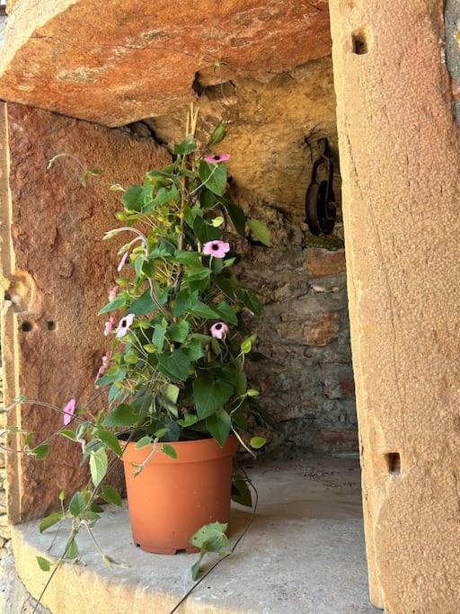 Ferienhaus Les Murgers Au Coeur Des Vignes
